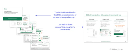The deliverables associated with the BCG loose dogs in Dallas project.