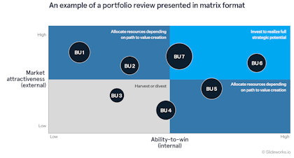 portfolio review matrix