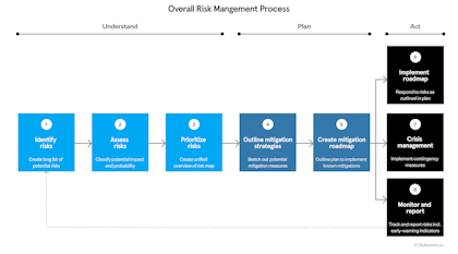 Risk management process