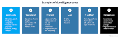 Examples of due diligence areas