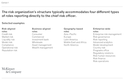 McKinsey risk types