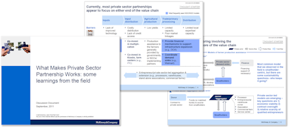 Mckinsey deck pdf - What Makes Private Sector Partnership Works