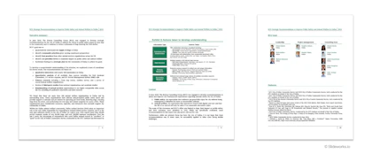 The white paper deliverable goes into more details on things like goals, process, and team.