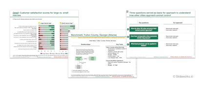 An example of the detailed slides found in the working documents deck.